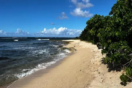 Location appartement à Le Moule, Appartements pour 3 Personnes
