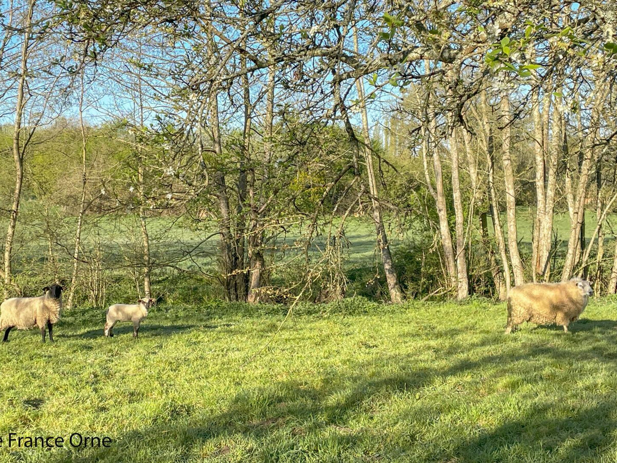 Gîte 7 pers. avec jardin clos et terrain de pétanque - Photo 34