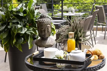 Location appartement à Gréoux les Bains, Studio Confort 2 Personnes vue jardin