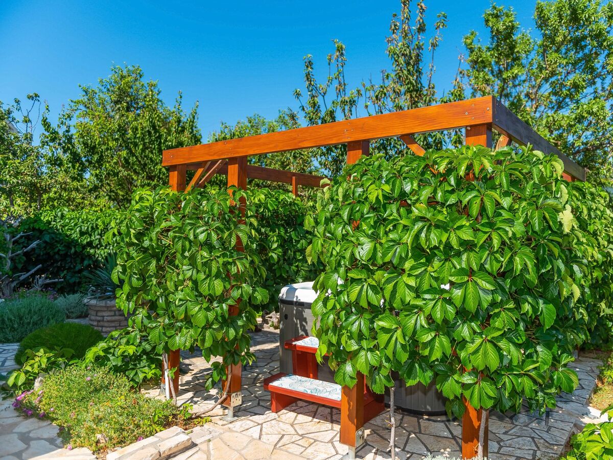 Maison Milka à 40 m de la plage, Novigrad - Photo 17