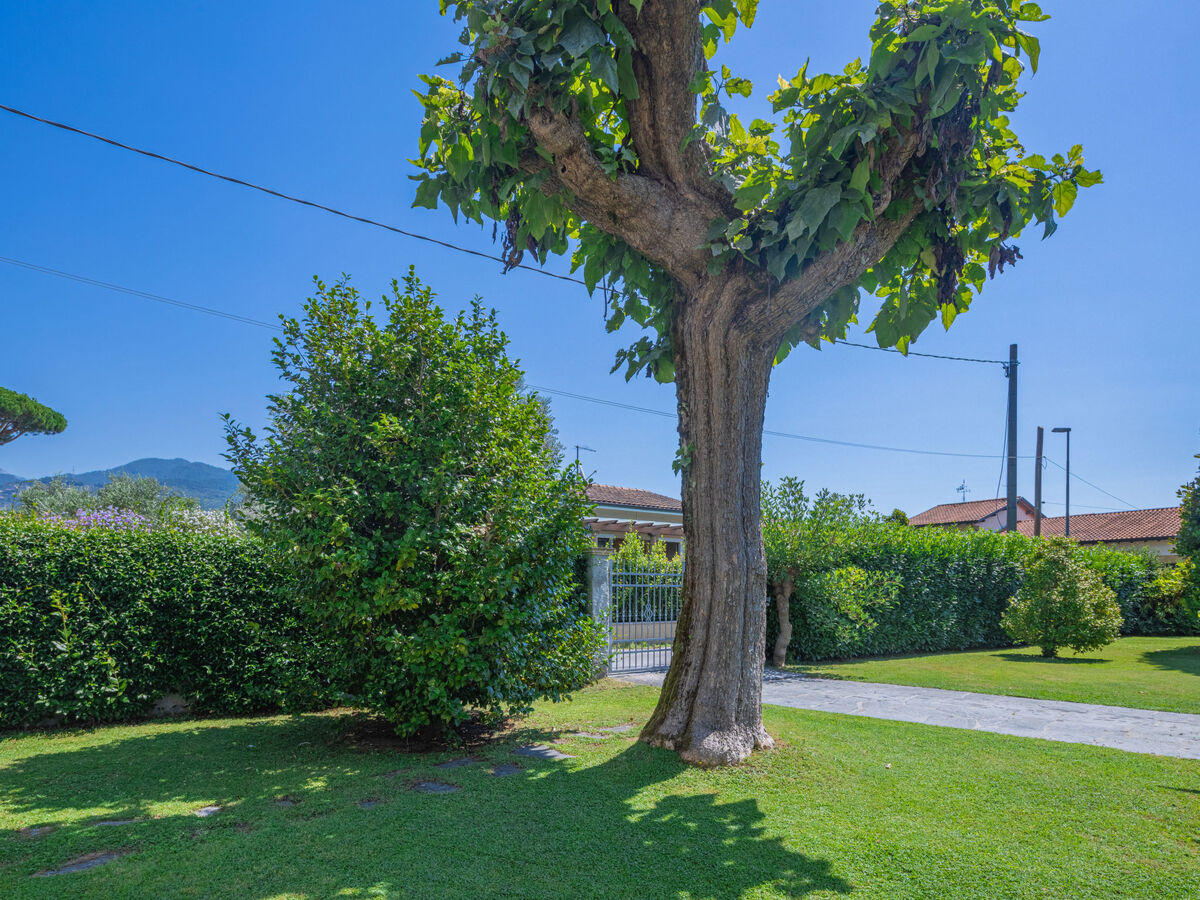 Marinella – Maison 3 chambres à Marina Pietrasanta - Photo 18