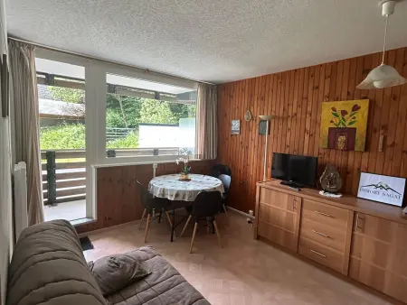 Location appartement à Besse et Saint Anastaise Super Besse, Appartement cosy 1 chambre, au centre de Super Besse