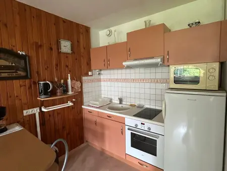 Appartement 44 m² au cœur de Super Besse, 6 personnes : photo 2