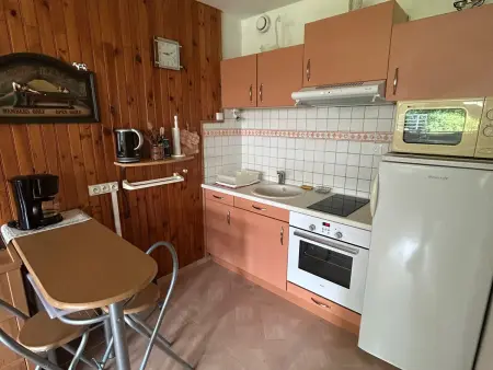 Appartement 44 m² au cœur de Super Besse, 6 personnes : photo 6