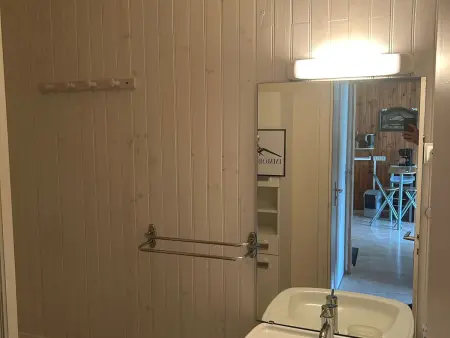 Appartement 44 m² au cœur de Super Besse, 6 personnes : photo 21