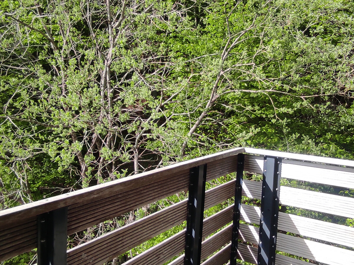 Appartement 44 m² Super Besse, 6 pers., balcon pistes - Photo 26