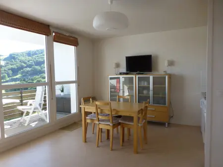 Location appartement à Besse et Saint Anastaise Super Besse, Appartement 6 pers, Wi-Fi, proche pistes ski, garage privé, vue lac et montagnes
