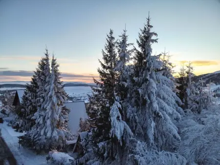 F2+Cabine skis aux pieds, 20ème étage Super Besse - Photo 20