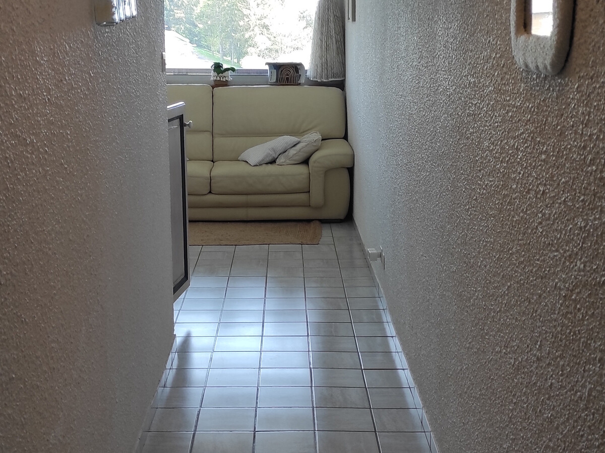 F3 43m² Super Besse, navette pistes gratuite incluse - Photo 11