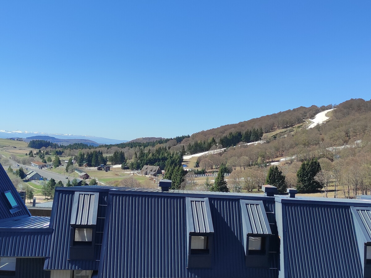 Appartement 3 pièces Super Besse, parking privé, 80 m pistes - Photo 30