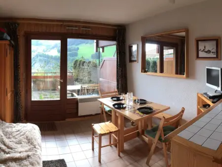 Studio 4 pers. ski aux pieds, terrasse 15 m² au Chinaillon, Le Grand-Bornand : photo 2