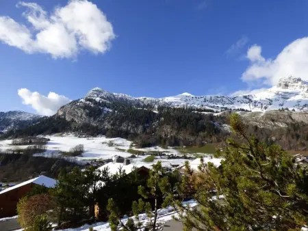 Studio 4 pers. ski aux pieds, terrasse 15 m² au Chinaillon, Le Grand-Bornand : photo 8