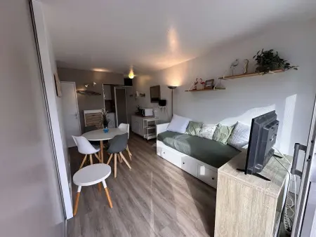 Appartement 2 pièces climatisé, terrasse et parking - Le Grau-du-Roi : photo 8