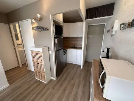 Appartement 2 pièces climatisé, terrasse et parking - Le Grau-du-Roi : photo 9