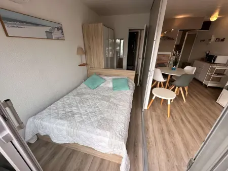 Appartement 2 pièces climatisé, terrasse et parking - Le Grau-du-Roi : photo 15