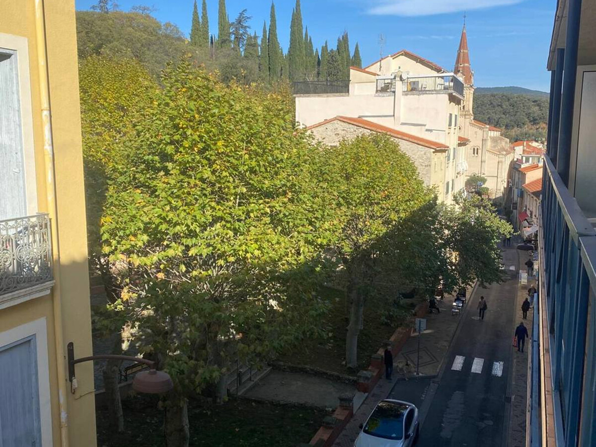 Studio 25 m² balcon sud-ouest à Amélie-les-Bains - Photo 10