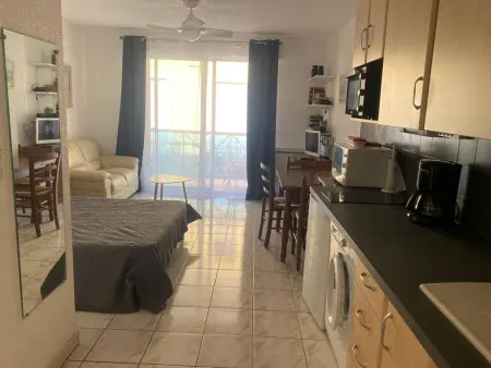 Location appartement à Amélie les Bains Palalda, Charmant studio au centre, balcon, animaux admis
