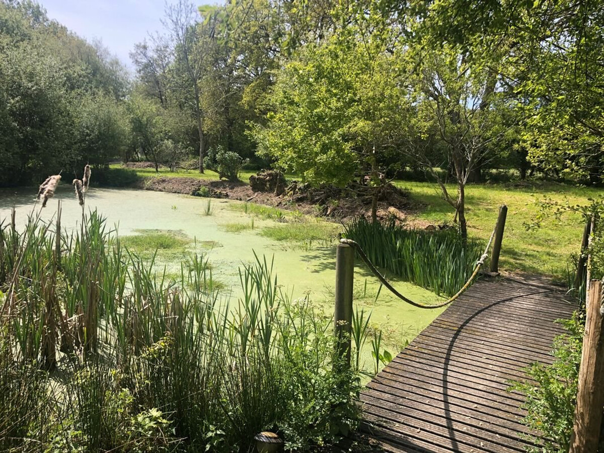 Maison 5 pièces Carnac, 9 personnes, jardin 5000m², animaux OK - Photo 14
