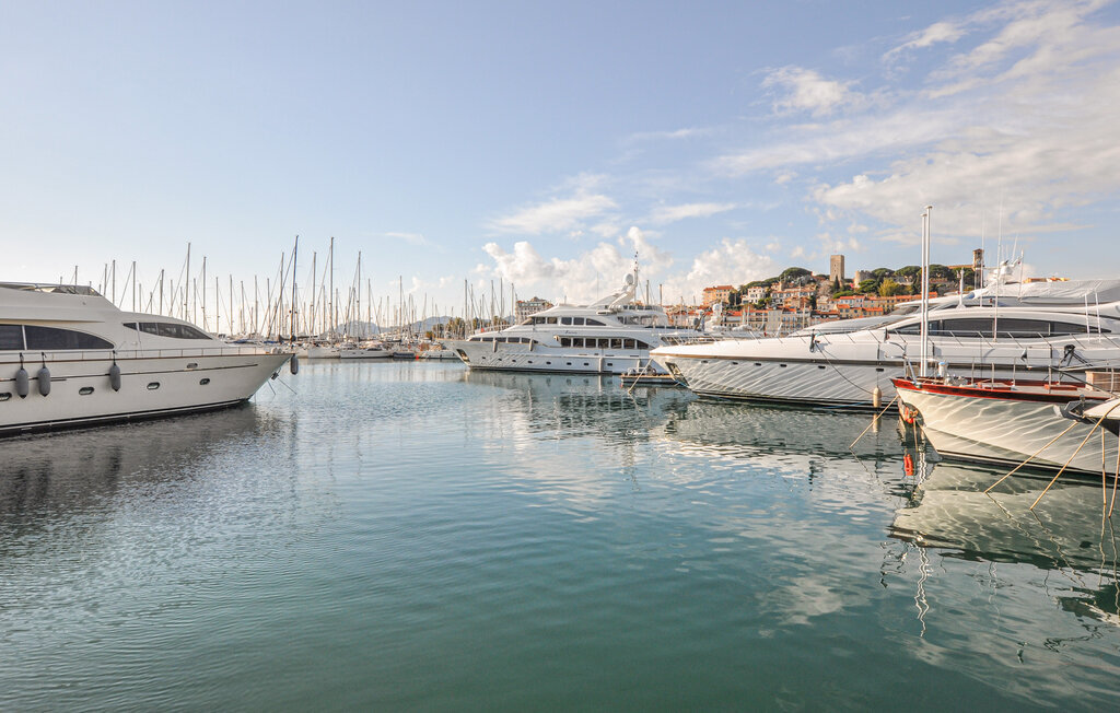 Appartement 2 chambres avec terrasse méditerranéenne à Cannes - Photo 33