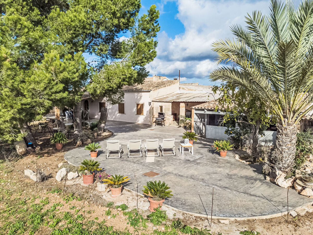 Finca Ca na Brila - Maison 4 personnes à Campos - Photo 2