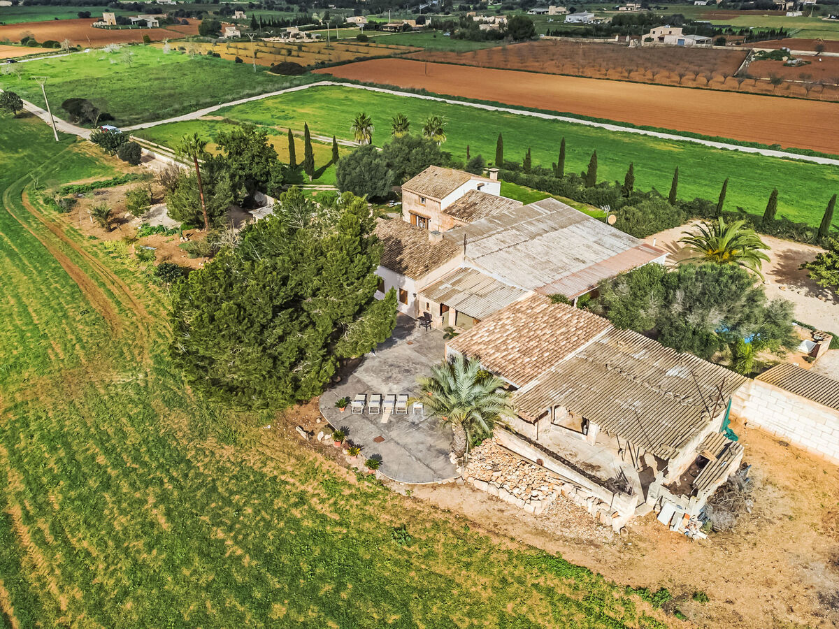 Finca Ca na Brila - Maison 4 personnes à Campos - Photo 19