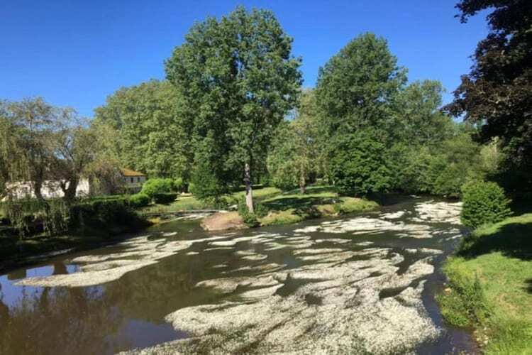 Gîte Brouillac 8 pers. avec piscine chauffée - Photo 22