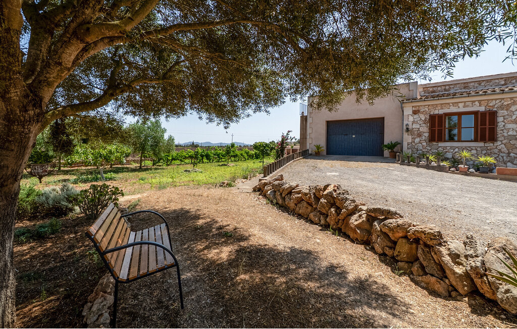 Sa servera de Son Valls, Maison 6 personnes à Felanitx - Photo 23