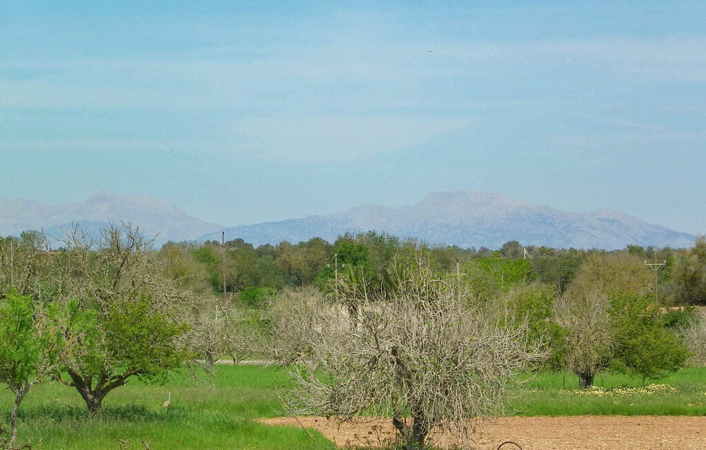Sa servera de Son Valls, Maison 6 personnes à Felanitx - Photo 24
