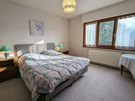 Gîte Gérardmer 4 pers. : vue ski, garage et jardin : photo 6
