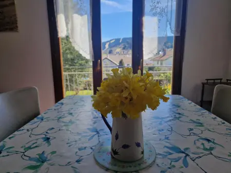 Gîte Gérardmer 4 pers. : vue ski, garage et jardin : photo 15