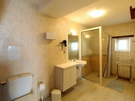 Gîte Anjou 9 pers. avec ferme biologique et cheminée : photo 11