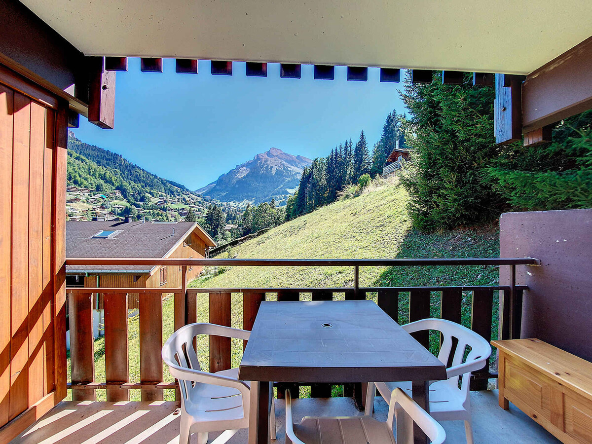 Studio 28 m² balcon sud, garage, WiFi - La Clusaz - Photo 9