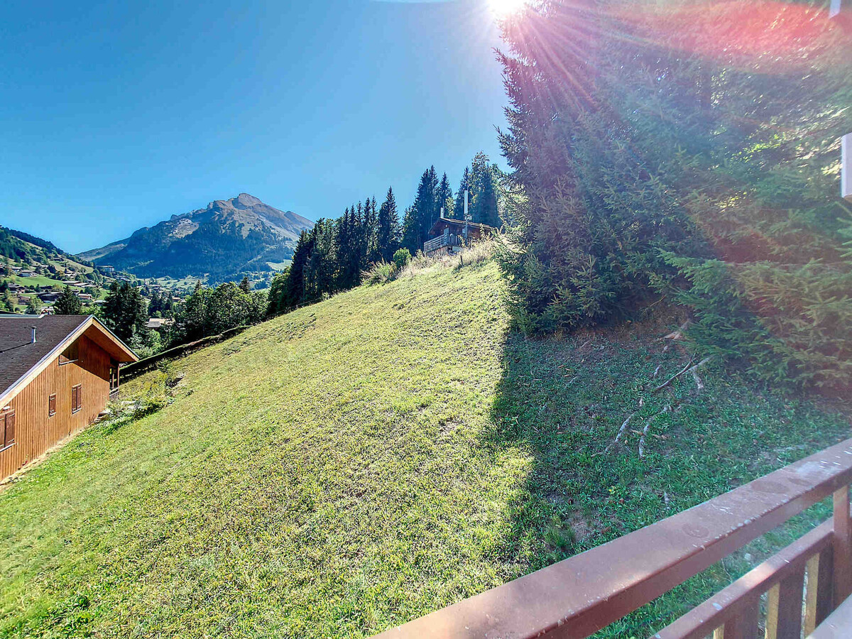 Studio 28 m² balcon sud, garage, WiFi - La Clusaz - Photo 11