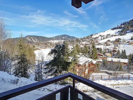 Studio avec balcon et garage à pied des pistes, La Clusaz : photo 8