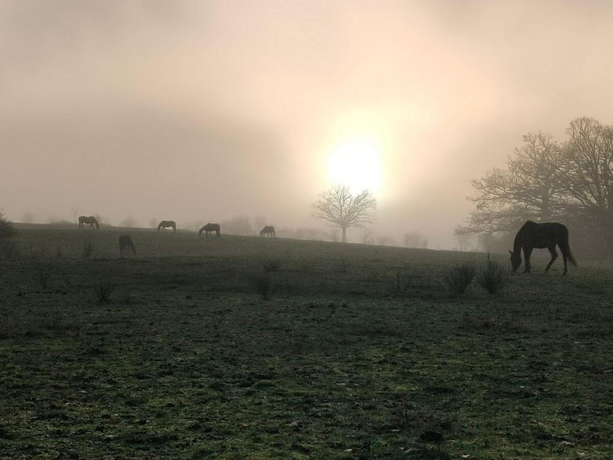 Gîte rénové à la ferme avec animaux à Saint-Bonnet-de-Four - Photo 5