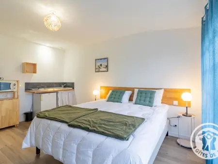 Gîte 11 pers., 5 chambres, jardin 900m² près Puy du Fou : photo 30