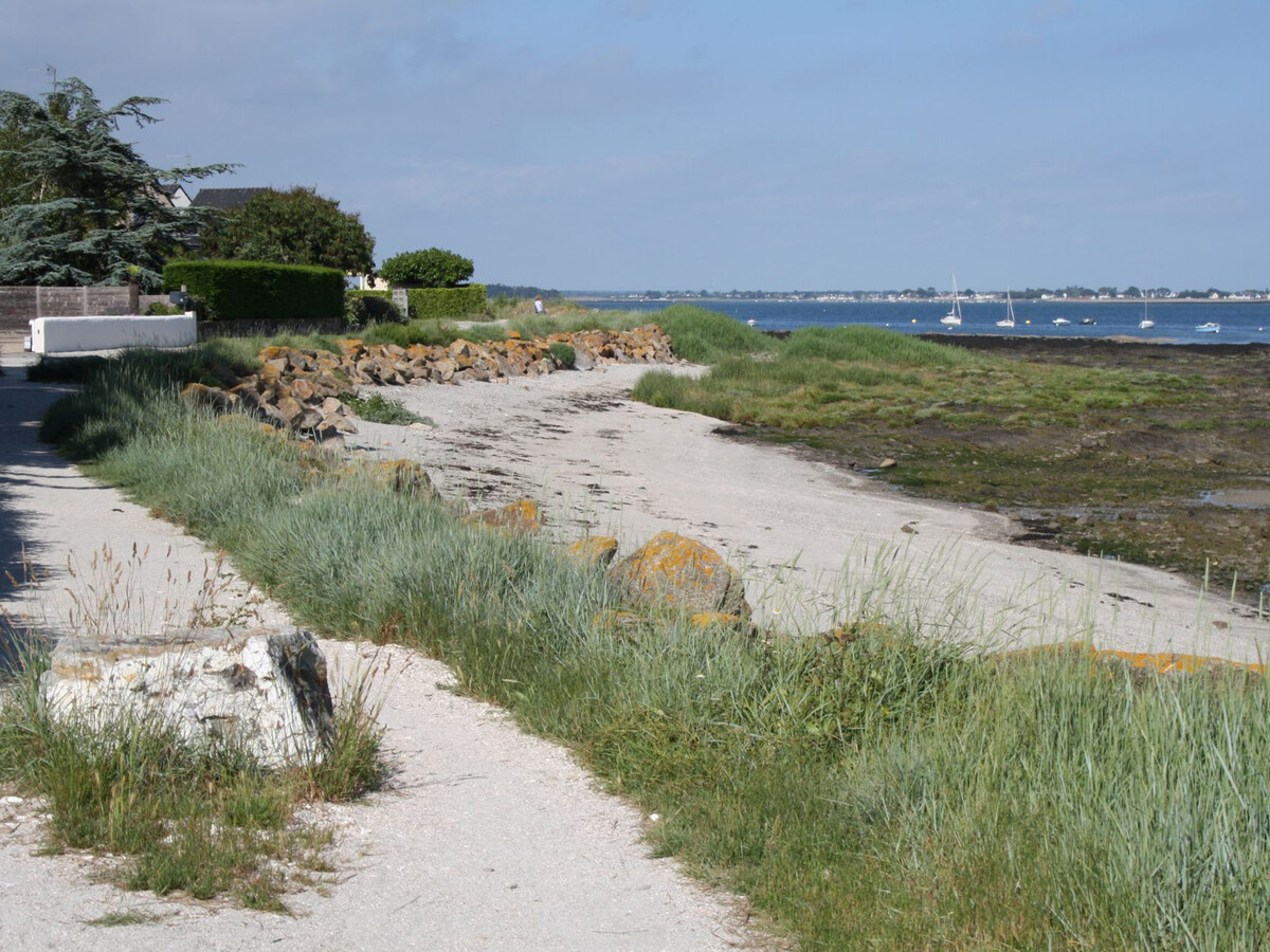 Maison 6 pers. à Sarzeau, 100 m plage de Penvins - Photo 25