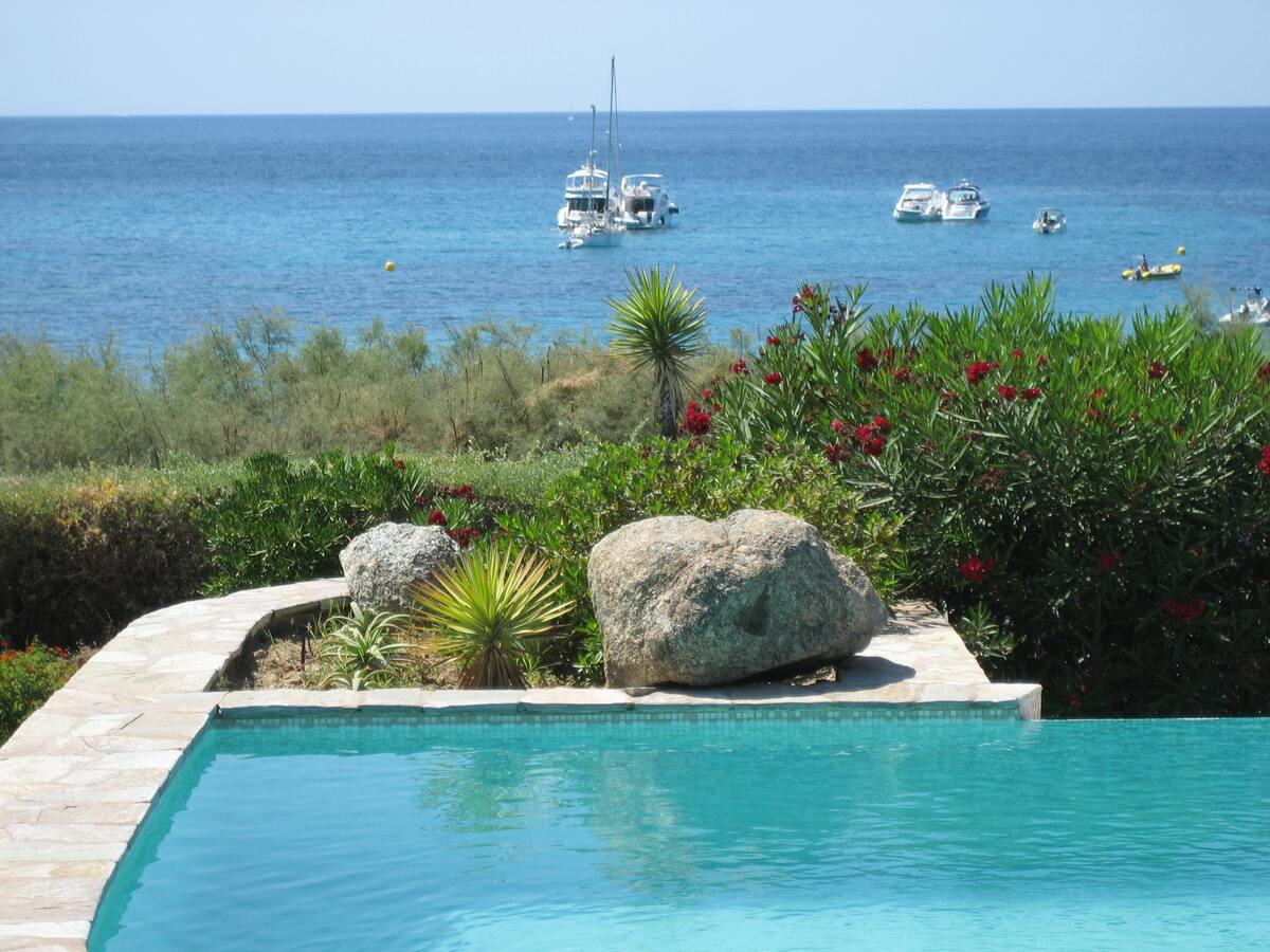 Villa 8 pers., piscine 140 m² et vue mer à Corbara - Photo 12