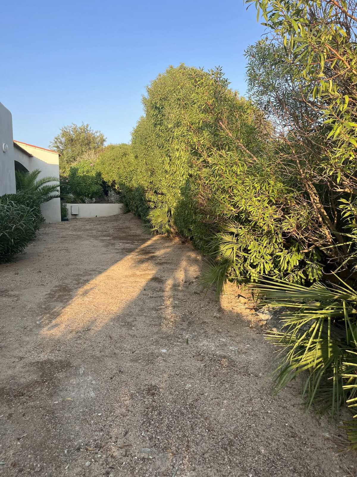 Villa 8 pers., piscine 140 m² et vue mer à Corbara - Photo 29