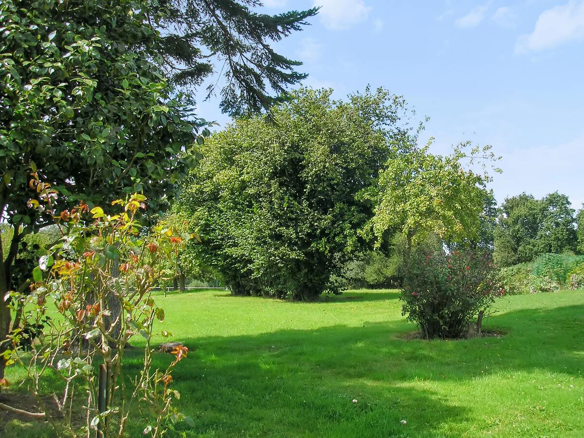 Maison 140 m² Plehedel - 10 pers, jardin & terrasse - Photo 2