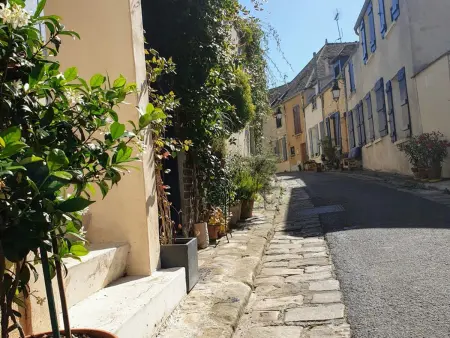 Auberge médiévale 8 pers. à Houdan, jardin 400m² : photo 33