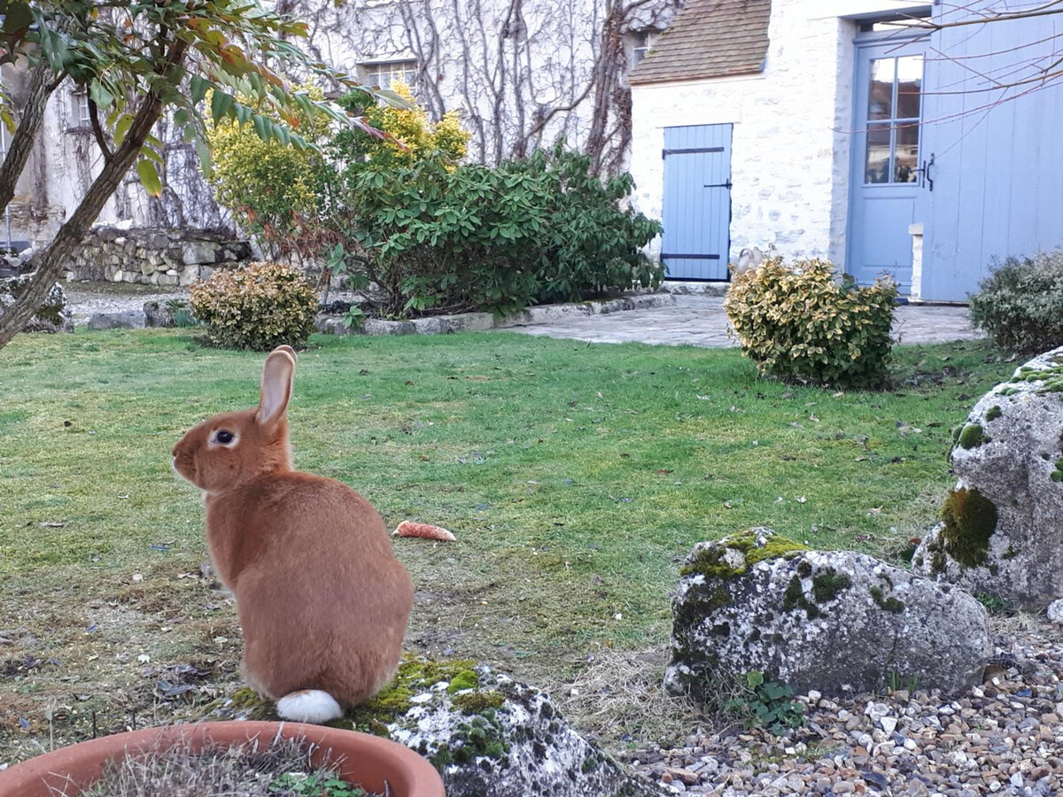 Gîte à Montainville dans ancienne ferme, 3 pers. - Photo 17