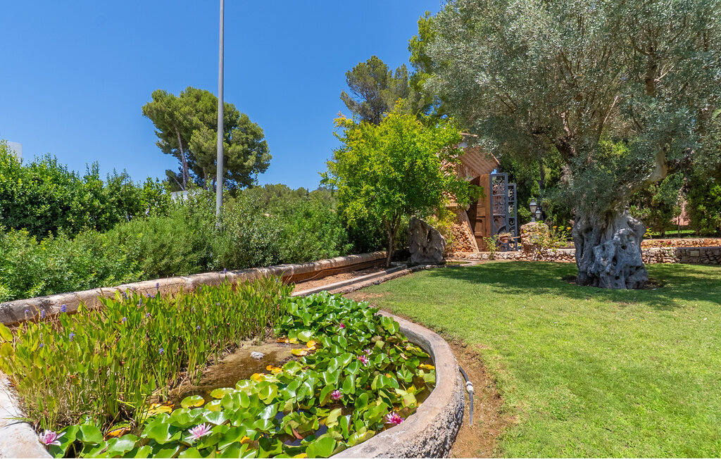 Ca'n Tomeu : maison 5 chambres avec piscine à Son Servera - Photo 15