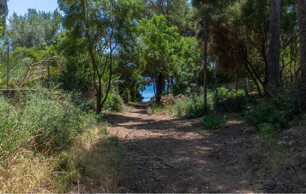 Ca'n Tomeu : maison 5 chambres avec piscine à Son Servera - Photo 40
