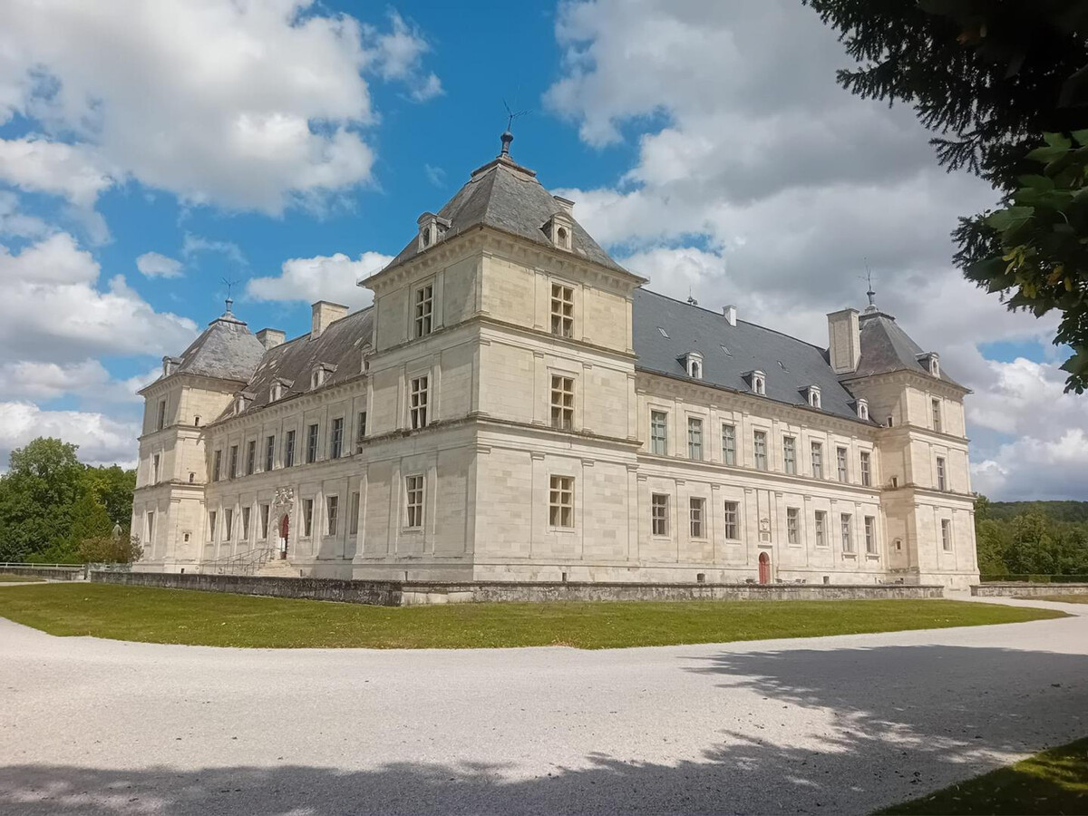 Appartement 4 pers avec terrasse, entre Champagne et Bourgogne - Photo 24