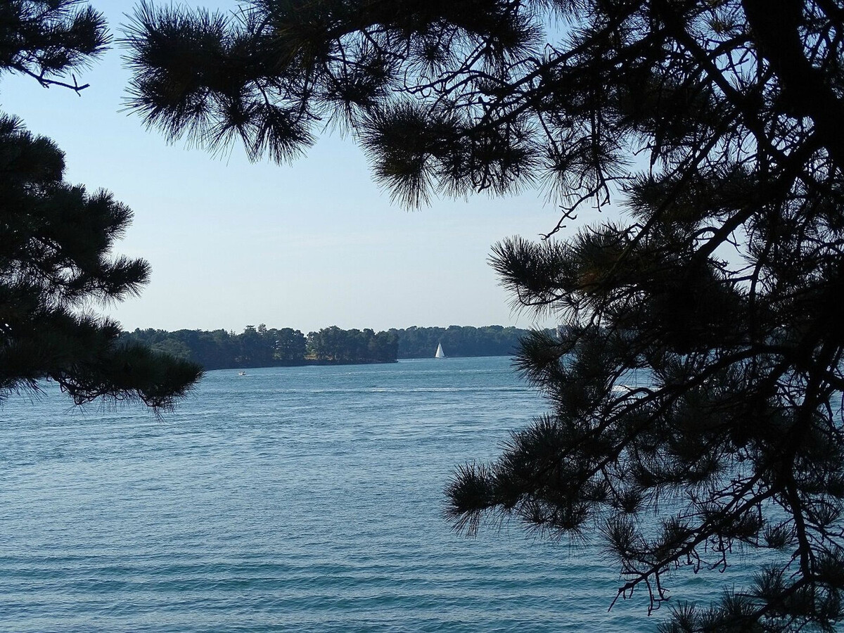 Appartement 4 pers. Arzon avec piscine et vue Port - Photo 14