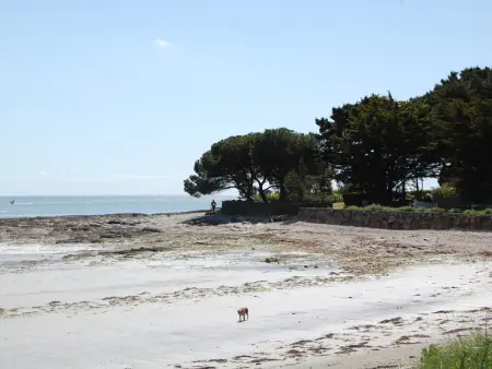 Maison au calme avec jardin, 3 chambres, plage et commerces à proximité, WiFi, animaux acceptés - Photo 26
