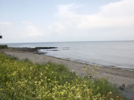 Maison au calme avec jardin, 3 chambres, plage et commerces à proximité, WiFi, animaux acceptés - Photo 29