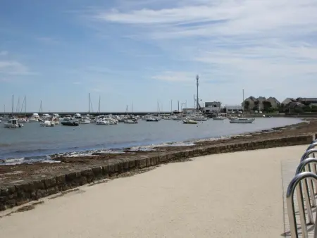 Maison au calme avec jardin, 3 chambres, plage et commerces à proximité, WiFi, animaux acceptés - Photo 35