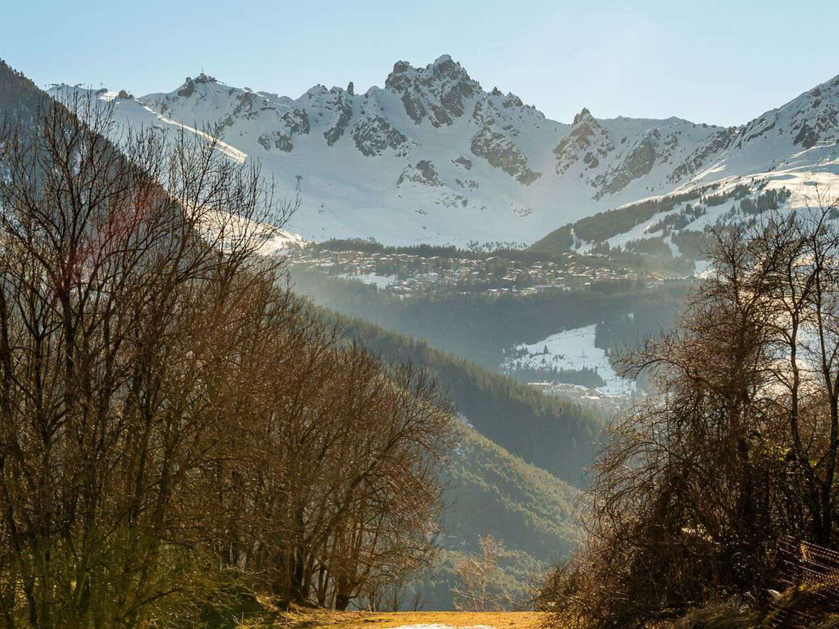 Smala Alpina - T4 8 pers, terrasse Sud à Champagny-en-Vanoise - Photo 15